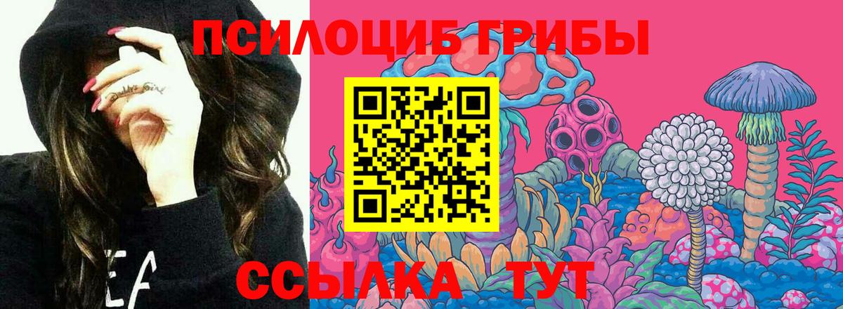 Галлюциногенные грибы GOLDEN TEACHER  Галлюциногенные грибы ЛСД  Вход с VPN  Соль-Илецк 
